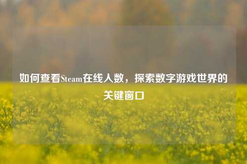 如何查看Steam在线人数,探索数字游戏世界的关键窗口