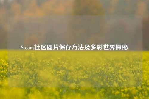 Steam社区图片保存方法及多彩世界探秘
