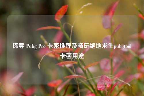 探寻 Pubg Pro 卡密推荐及畅玩绝地求生pubgtool卡密用途
