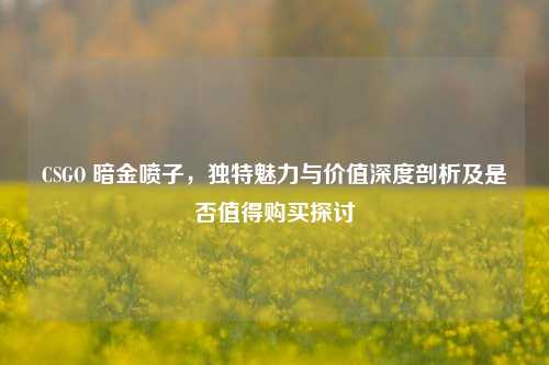 CSGO 暗金喷子,独特魅力与价值深度剖析及是否值得购买探讨