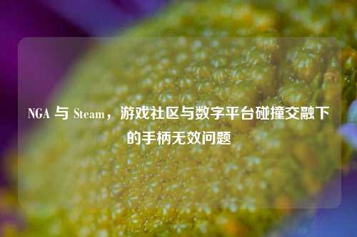 NGA 与 Steam,游戏社区与数字平台碰撞交融下的手柄无效问题