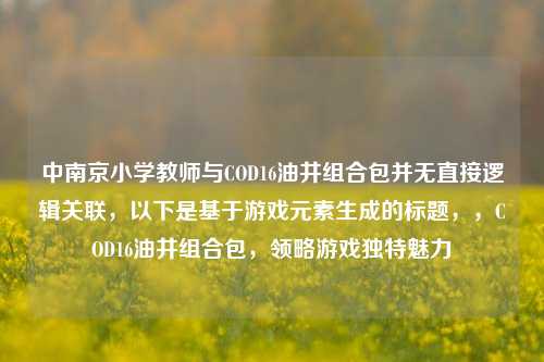 中南京小学教师与COD16油井组合包并无直接逻辑关联，以下是基于游戏元素生成的标题，，COD16油井组合包，领略游戏独特魅力