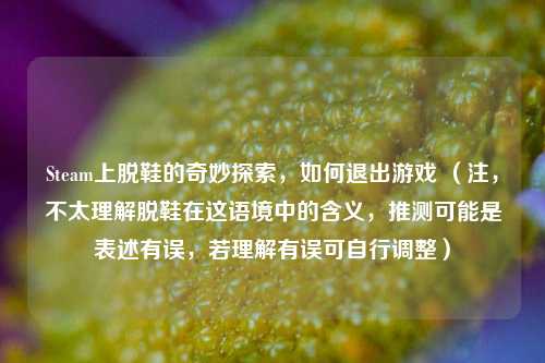Steam上脱鞋的奇妙探索,如何退出游戏 (注,不太理解脱鞋在这语境中的含义,推测可能是表述有误,若理解有误可自行调整)