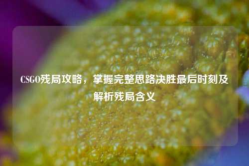 CSGO残局攻略,掌握完整思路决胜最后时刻及解析残局含义