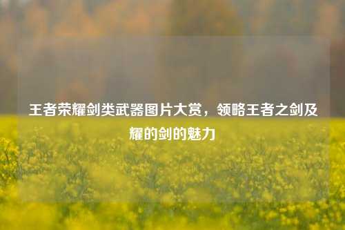 王者荣耀剑类武器图片大赏,领略王者之剑及耀的剑的魅力