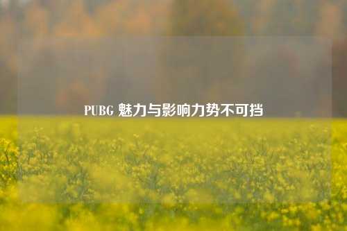 PUBG 魅力与影响力势不可挡