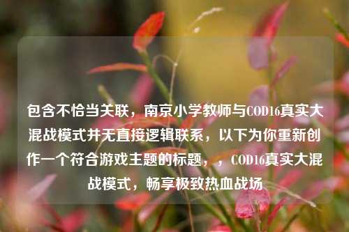 包含不恰当关联,南京小学教师与COD16真实大混战模式并无直接逻辑联系,以下为你重新创作一个符合游戏主题的标题,,COD16真实大混战模式,畅享极致热血战场