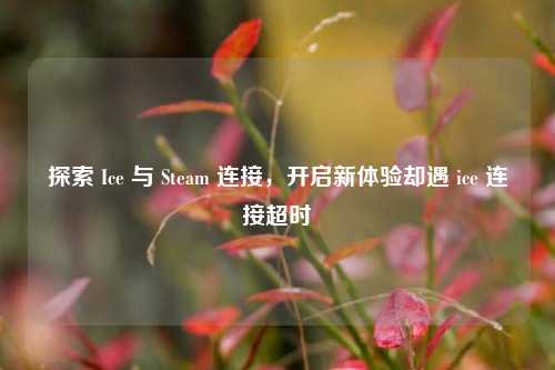 探索 Ice 与 Steam 连接,开启新体验却遇 ice 连接超时