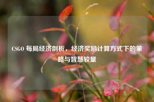 CSGO 每局经济剖析,经济奖励计算方式下的策略与智慧较量