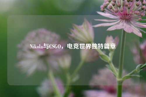 Nikola与CSGO,电竞世界独特篇章