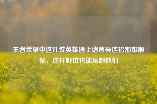 王者荣耀中这几位英雄遇上诸葛亮连招都难顺畅,连打野位也能压制他们