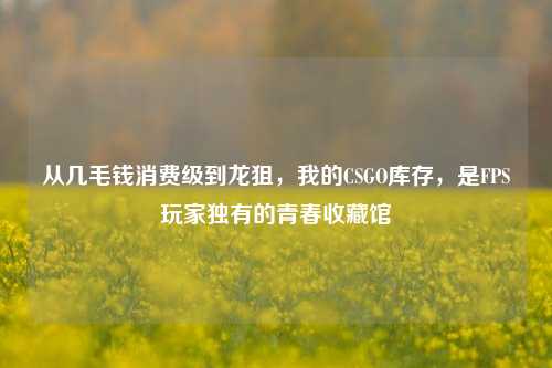 从几毛钱消费级到龙狙,我的CSGO库存,是FPS玩家独有的青春收藏馆