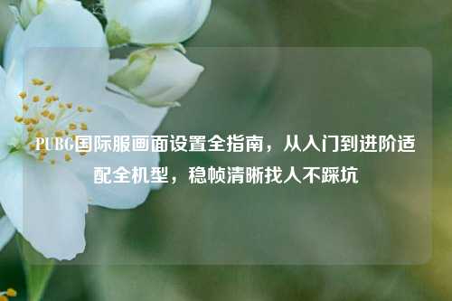 PUBG国际服画面设置全指南,从入门到进阶适配全机型,稳帧清晰找人不踩坑
