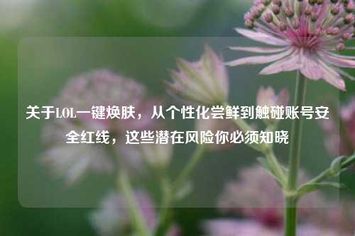关于LOL一键焕肤，从个性化尝鲜到触碰账号安全红线，这些潜在风险你必须知晓