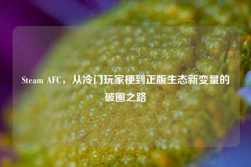Steam AFC,从冷门玩家梗到正版生态新变量的破圈之路