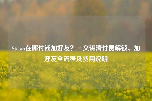 Steam在哪付钱加好友？一文讲清付费解锁、加好友全流程及费用说明