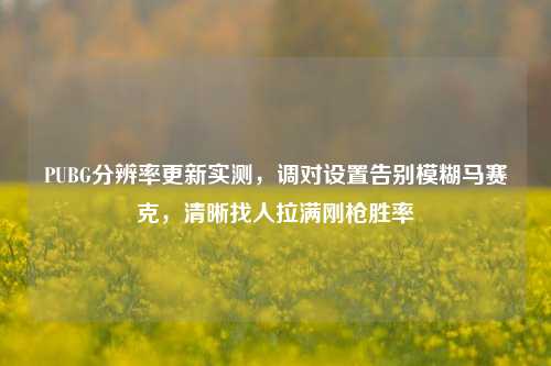 PUBG分辨率更新实测，调对设置告别模糊马赛克，清晰找人拉满刚枪胜率
