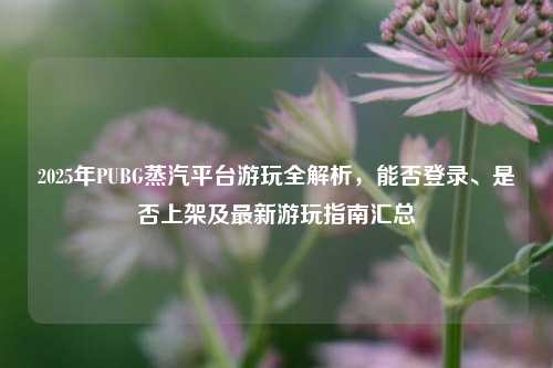 2025年PUBG蒸汽平台游玩全解析,能否登录、是否上架及最新游玩指南汇总