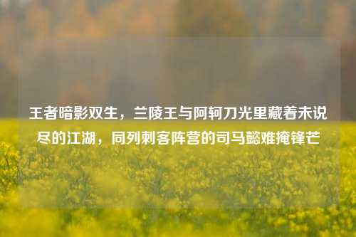 王者暗影双生,兰陵王与阿轲刀光里藏着未说尽的江湖,同列刺客阵营的司马懿难掩锋芒