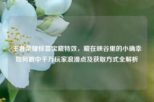 王者荣耀惊喜宝藏特效,藏在峡谷里的小确幸如何戳中千万玩家浪漫点及获取方式全解析