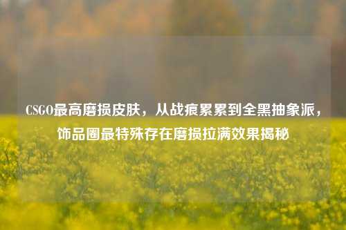 CSGO最高磨损皮肤，从战痕累累到全黑抽象派，饰品圈最特殊存在磨损拉满效果揭秘
