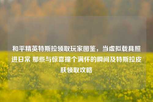 和平精英特斯拉领取玩家图鉴,当虚拟载具照进日常 那些与惊喜撞个满怀的瞬间及特斯拉皮肤领取攻略