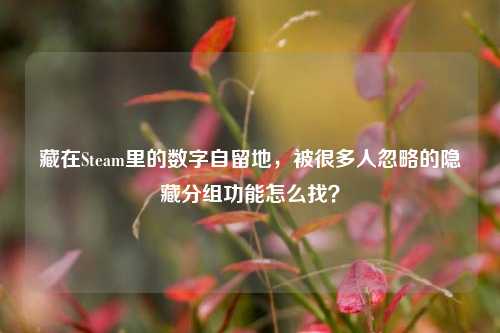 藏在Steam里的数字自留地,被很多人忽略的隐藏分组功能怎么找?