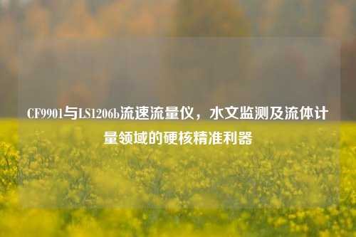 CF9901与LS1206b流速流量仪,水文监测及流体计量领域的硬核精准利器