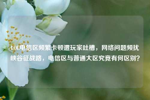 LOL电信区频繁卡顿遭玩家吐槽，网络问题频扰峡谷征战路，电信区与普通大区究竟有何区别？