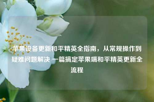 苹果设备更新和平精英全指南,从常规操作到疑难问题解决 一篇搞定苹果端和平精英更新全流程