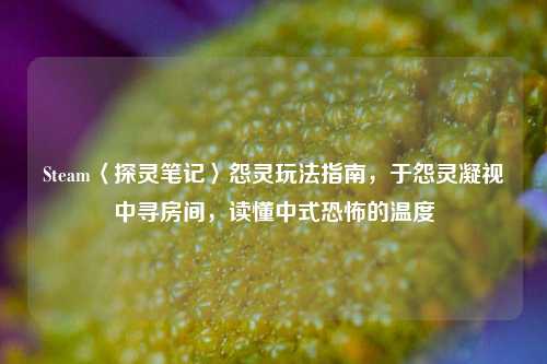 Steam〈探灵笔记〉怨灵玩法指南,于怨灵凝视中寻房间,读懂中式恐怖的温度