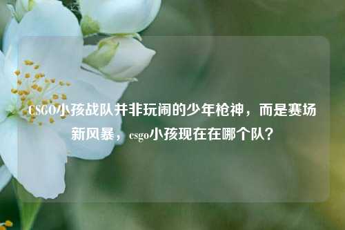 CSGO小孩战队并非玩闹的少年枪神,而是赛场新风暴,csgo小孩现在在哪个队?
