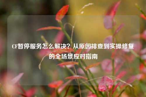 CF暂停服务怎么解决?从原因排查到实操修复的全场景应对指南