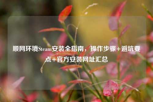 顺网环境Steam安装全指南,操作步骤+避坑要点+官方安装网址汇总