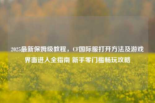 2025最新保姆级教程,CF国际服打开方法及游戏界面进入全指南 新手零门槛畅玩攻略