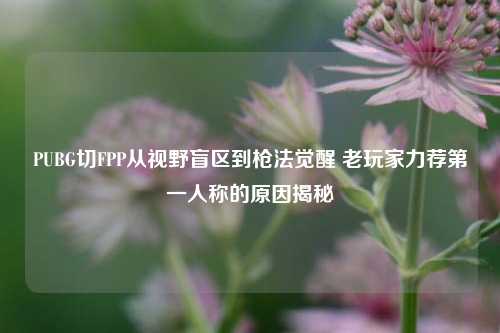 PUBG切FPP从视野盲区到枪法觉醒 老玩家力荐第一人称的原因揭秘