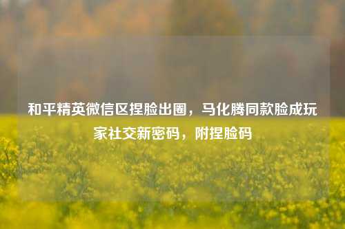 和平精英微信区捏脸出圈,马化腾同款脸成玩家社交新密码,附捏脸码