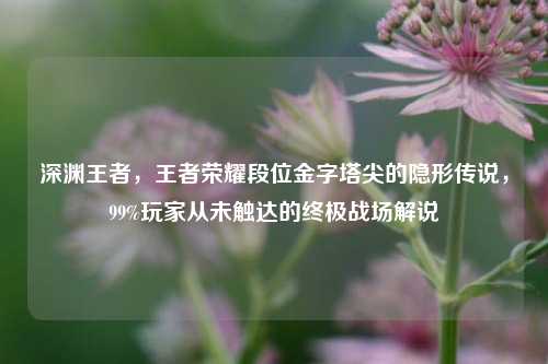 深渊王者，王者荣耀段位金字塔尖的隐形传说，99%玩家从未触达的终极战场解说