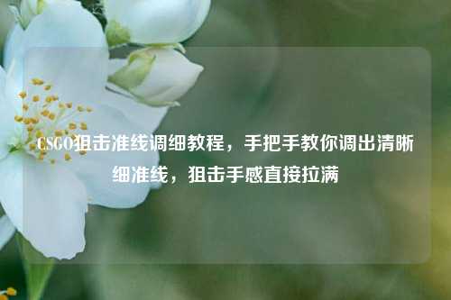 CSGO狙击准线调细教程,手把手教你调出清晰细准线,狙击手感直接拉满