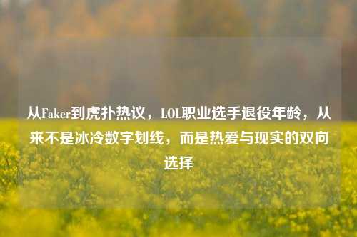 从Faker到虎扑热议,LOL职业选手退役年龄,从来不是冰冷数字划线,而是热爱与现实的双向选择