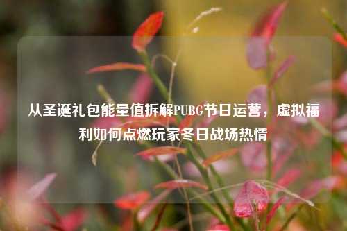 从圣诞礼包能量值拆解PUBG节日运营，虚拟福利如何点燃玩家冬日战场热情