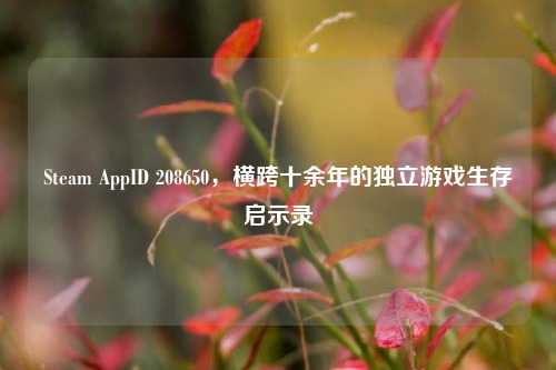 Steam AppID 208650,横跨十余年的独立游戏生存启示录