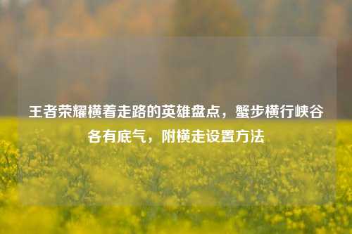 王者荣耀横着走路的英雄盘点,蟹步横行峡谷各有底气,附横走设置方法
