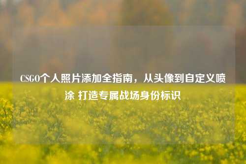 CSGO个人照片添加全指南,从头像到自定义喷涂 打造专属战场身份标识