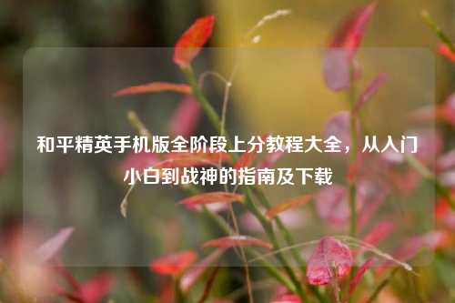 和平精英手机版全阶段上分教程大全,从入门小白到战神的指南及下载