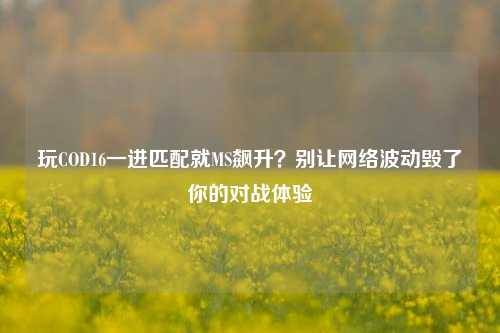 玩COD16一进匹配就MS飙升?别让网络波动毁了你的对战体验