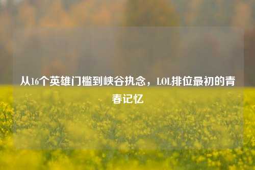 从16个英雄门槛到峡谷执念，LOL排位最初的青春记忆