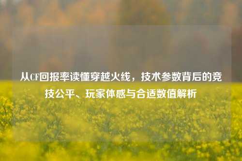 从CF回报率读懂穿越火线,技术参数背后的竞技公平、玩家体感与合适数值解析