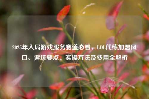 2025年入局游戏服务赛道必看,LOL代练加盟风口、避坑要点、实操方法及费用全解析