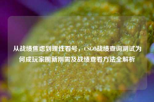 从战绩焦虑到理性看号,CSGO战绩查询测试为何成玩家圈新刚需及战绩查看方法全解析